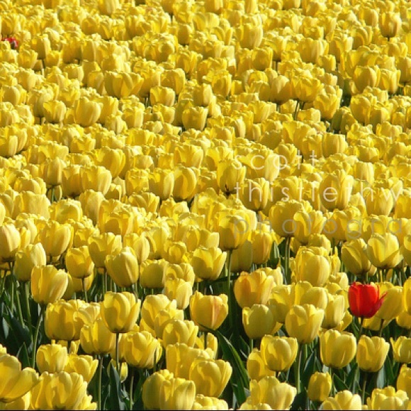 You are one in a million~BLESSINGS TO ¥•O•U! - Picture 5 of 8